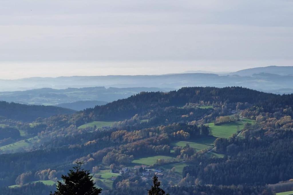 2-Zimmer Wohnung, Pools, Sauna Und Balkon Sankt Englmar Exteriér fotografie